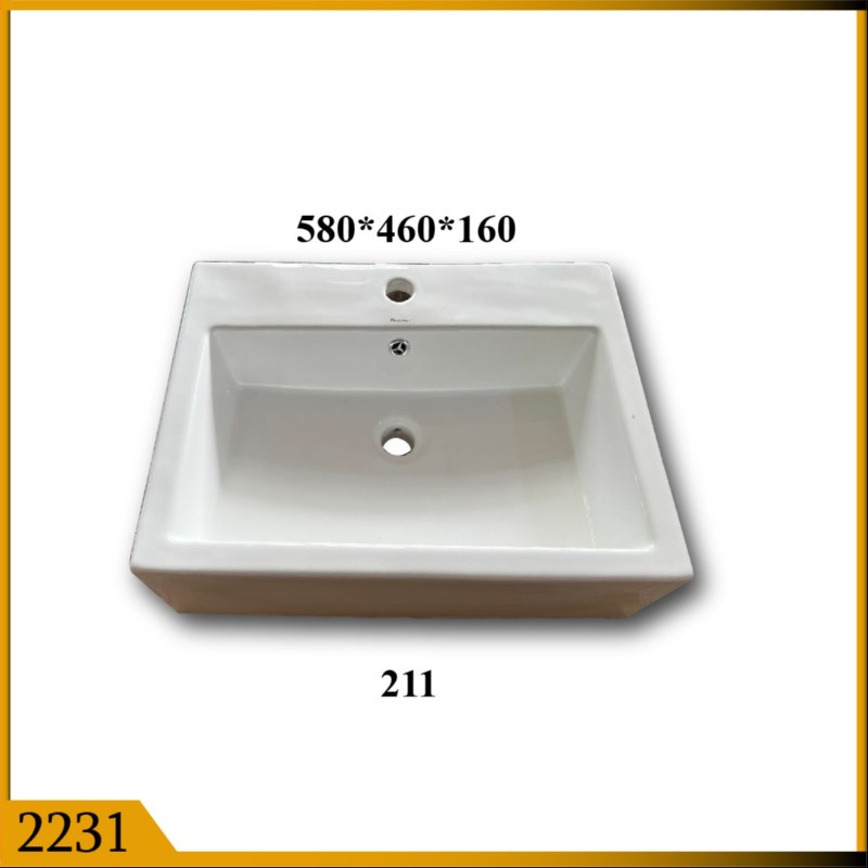 VANITY BASIN (2231)